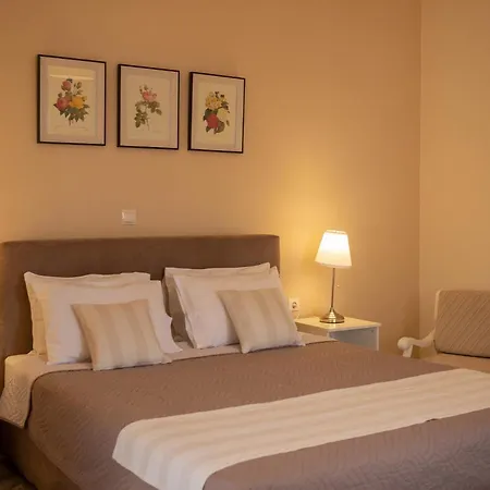 Lemon Tree Apartment